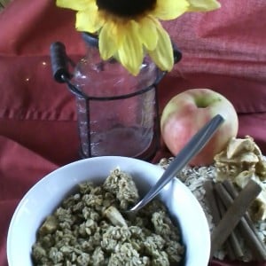 Apple Cinnamon Granola
